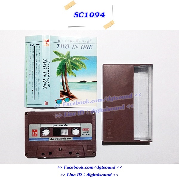 เทปคาสเซ็ท เทปเพลง ปานศักดิ์ รังสิพราหมณกุล อัลบั้ม TWO IN ONE
