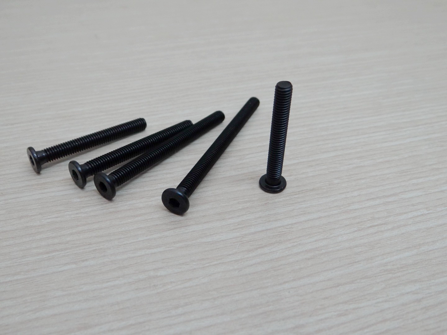 M5x55 mm Low Profile Screws (ชุด 10 ชิ้น)
