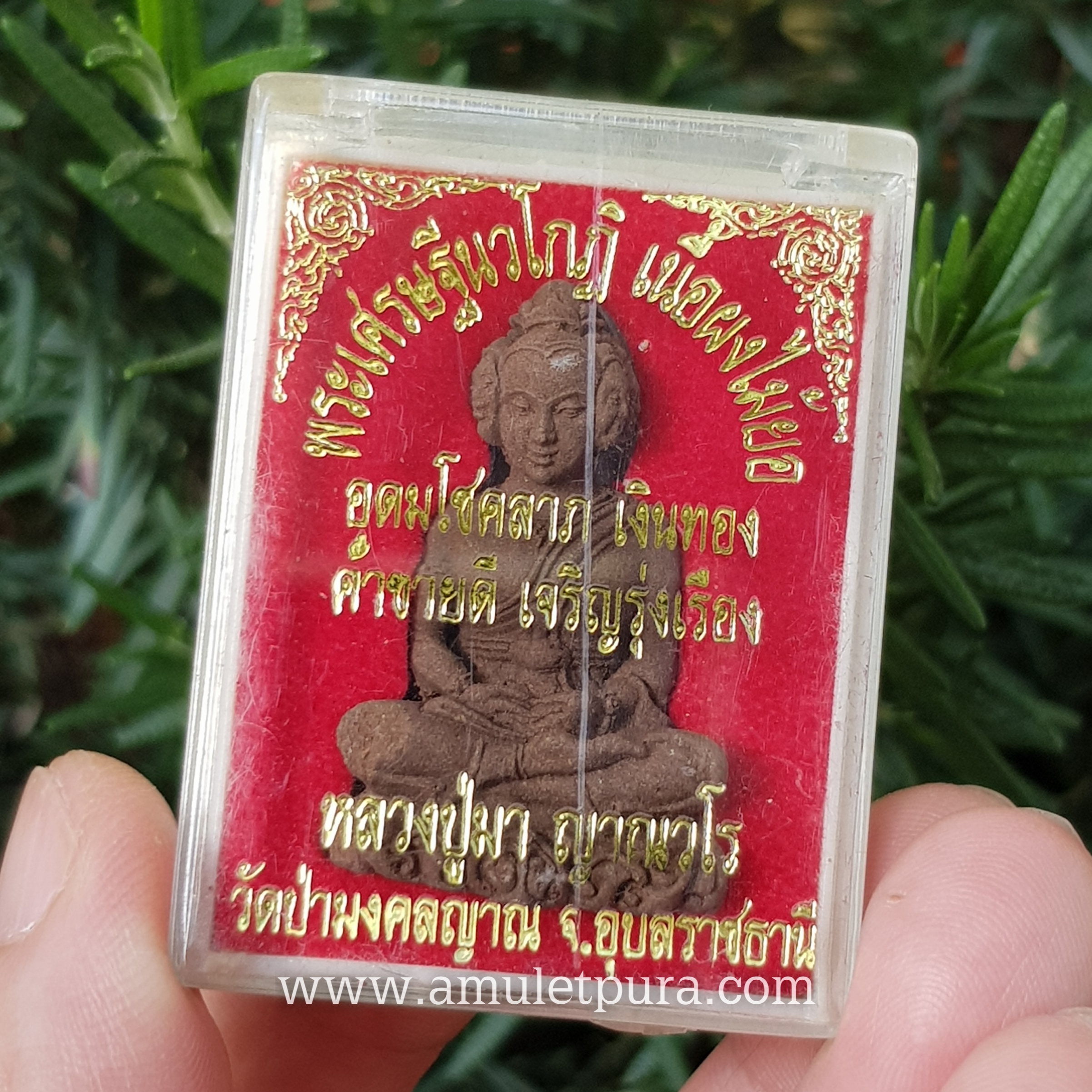 พระเศรษฐีนวโกฏิ เนื้อผงไม้ยอ ปี52 หลวงปู่มา วัดป่ามงคลญาณ จ.อุบลราชธานี