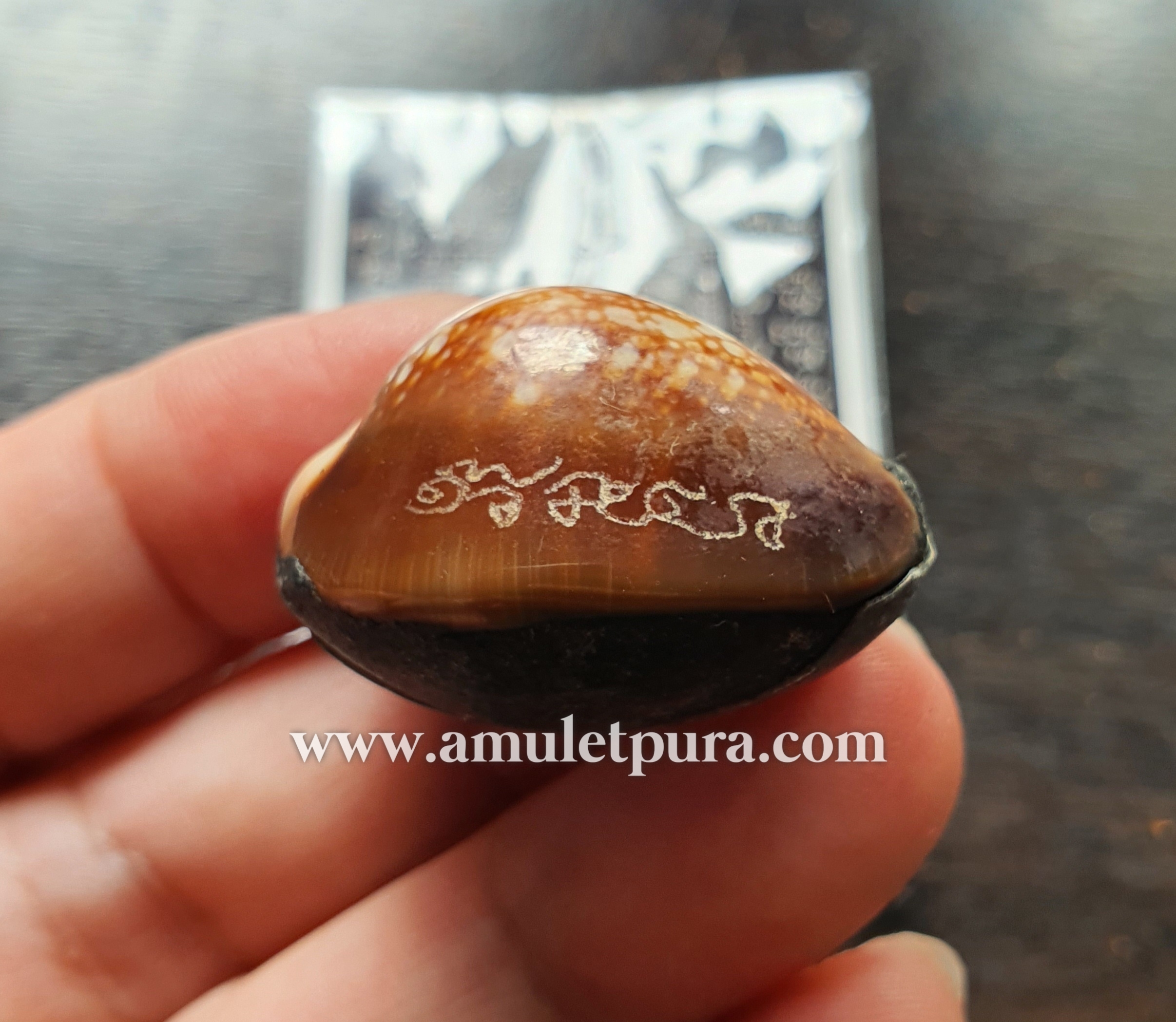 เบี้ยแก้พรายปรอท พิธี 9 ฤกษ์ 9 มงคล ครบ 200 ปี ปี54 วัดละหารไร่ จ.ระยอง จัดสร้างโดย มูลนิธิหลวงปู่ทิม (จารมืออุดผงพรายกุมารคลุกรักชันโรง หลวงปู่ทิม วัดละหารไร่ พร้อมแผ่นตะกั่ว จารมือ ตอกโค้ด หมายเลข2553) หลวงปู่บัว,หลวงปู่คำบุ,หลวงพ่อสิน ปลุกเสก