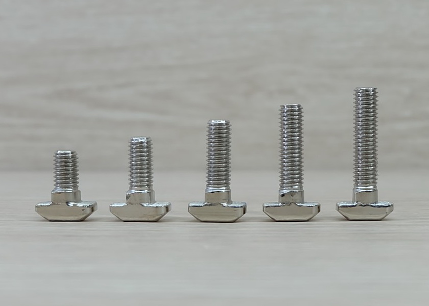 T screw M8x25 (10 ตัว/ชุด) สำหรับ Series 40 Alu Profile