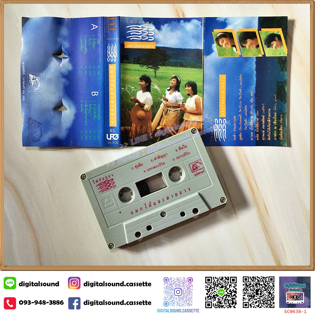 เทปคาสเซ็ท สาว สาว สาว อัลบั้ม แมกไม้และสายธาร [ปกไม่สวย]