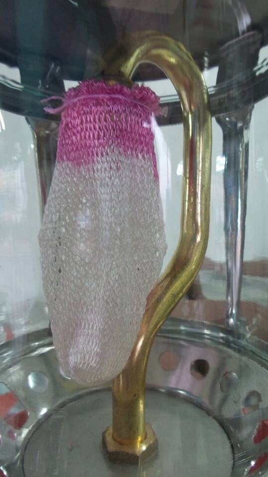 ฝักบัวตะเกียง ทองเหลือง