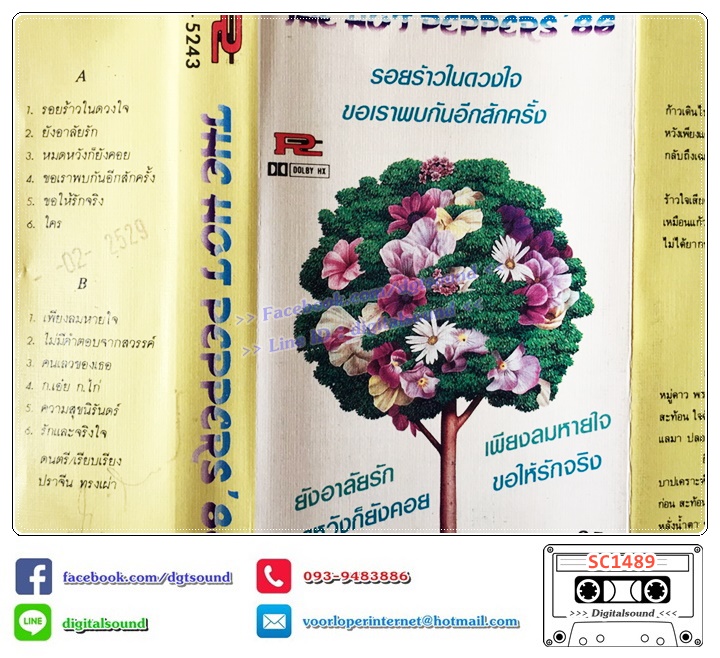 เทปคาสเซ็ท ฮอทเปปเปอร์ The Hot Pepper อัลบั้ม The Hot Pepper ' 86