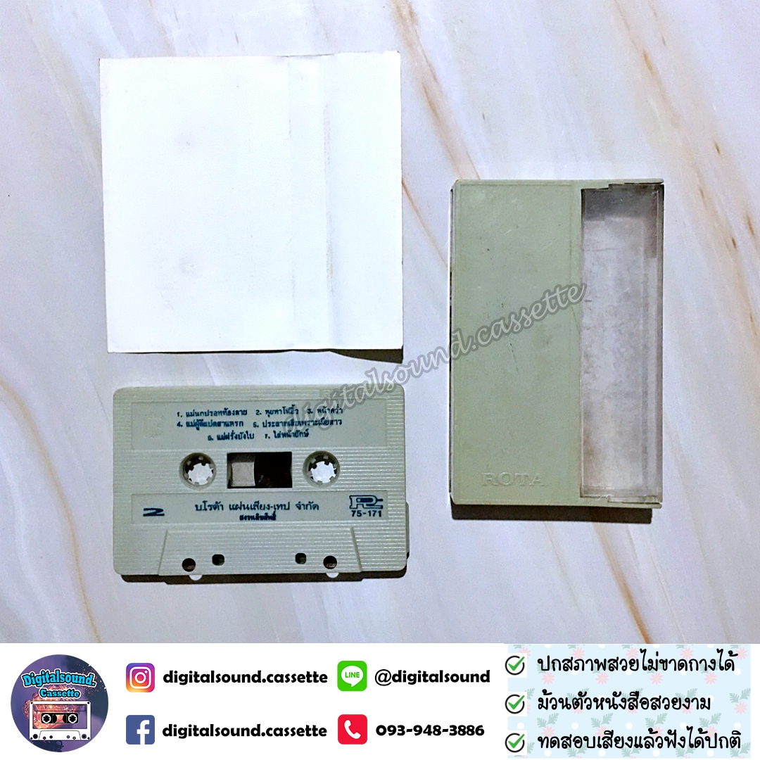 เทปคาสเซ็ท ชาย เมืองสิงห์ อัลบั้ม ภาคพิสดาร