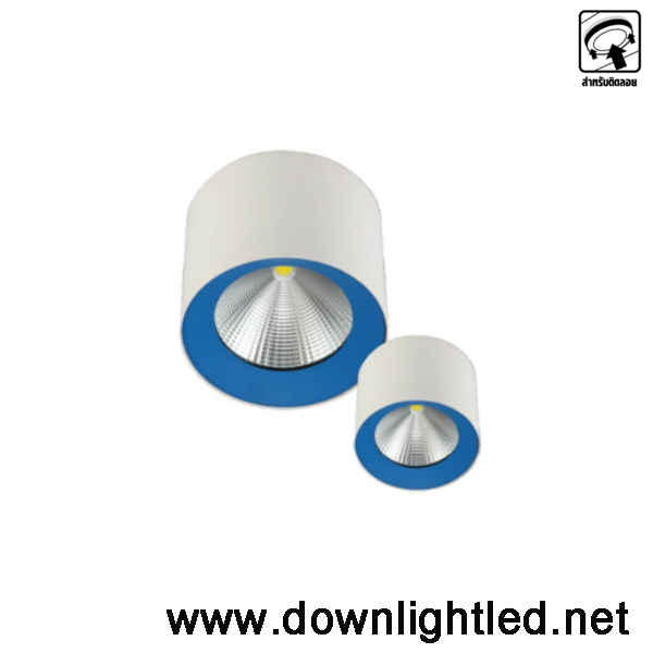 ดาวน์ไลท์ LED EVE 30w (แสงขาว)
