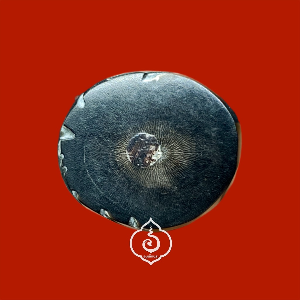 เสือเขาควายแกะอุดกริ่ง (พิมพ์จัมโบ้อ้าปาก จารครบสูตร) รุ่นไตรมาส ปี44 หลวงพ่อเปิ่น วัดบางพระ จ.นครปฐม (ทันหลวงพ่อ)