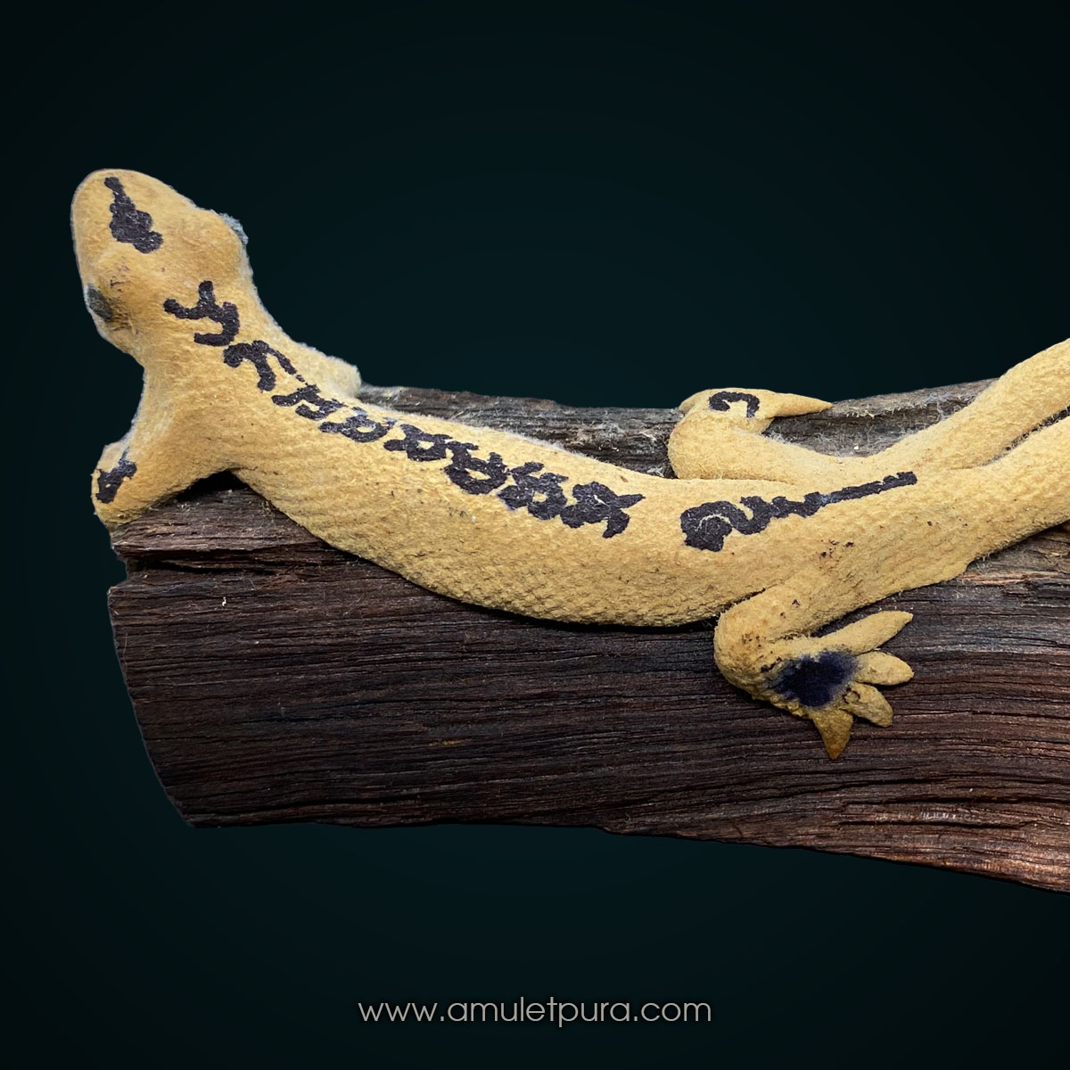 จิ้งจกพรหม 2 หางเกาะกิ่งไม้ ปี54 (ขนาดบูชา) อ.หนู กันภัย (แบบที่1)