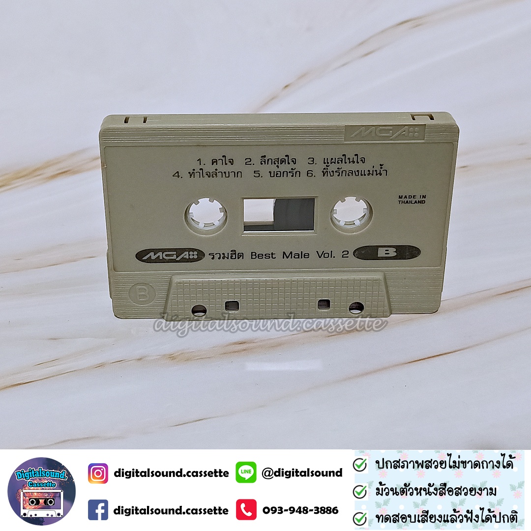 เทปคาสเซ็ท รวมศิลปิน GRAMMY อัลบั้ม BEST MALE VOL 2