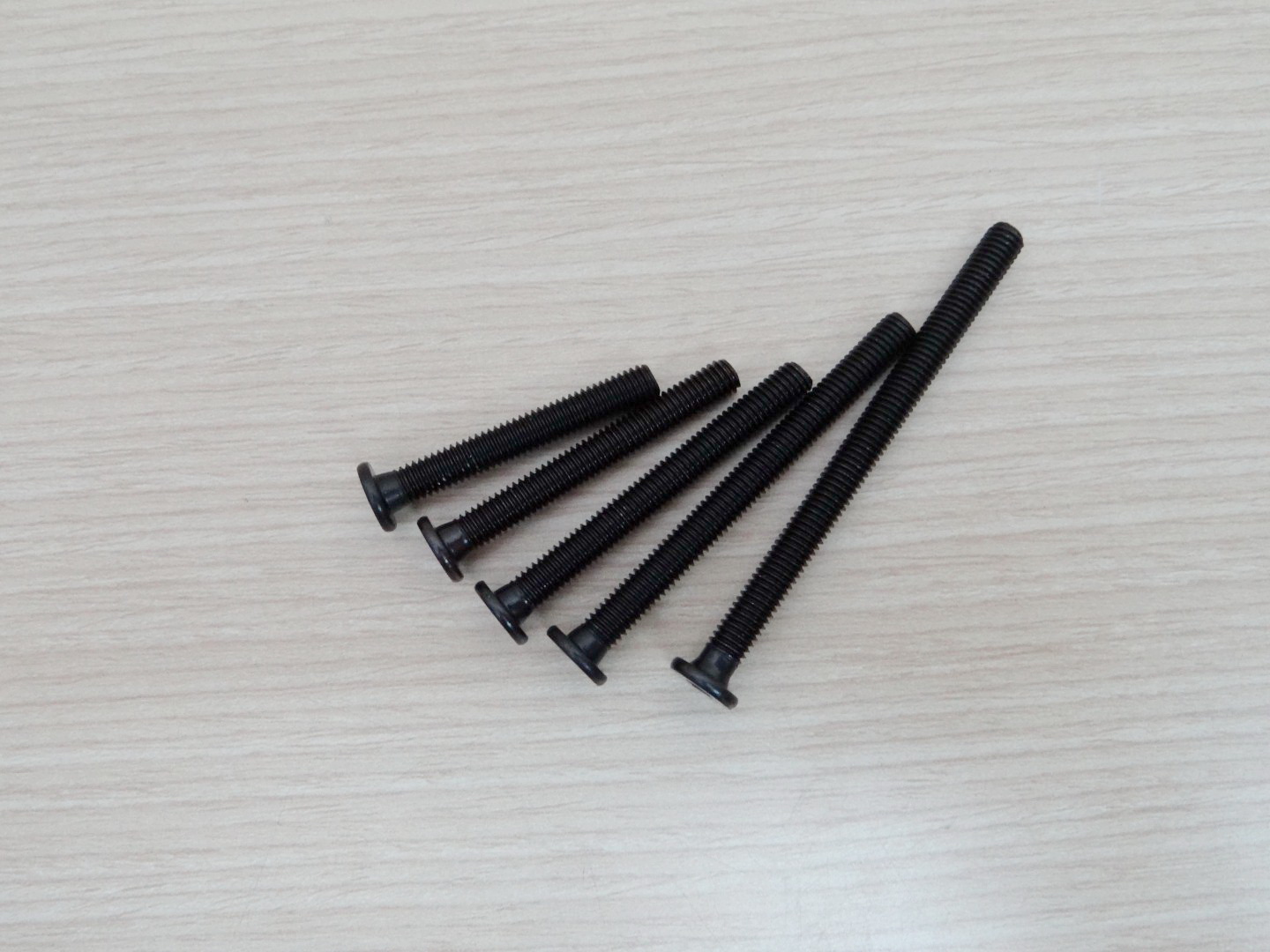 M5x55 mm Low Profile Screws (ชุด 10 ชิ้น)