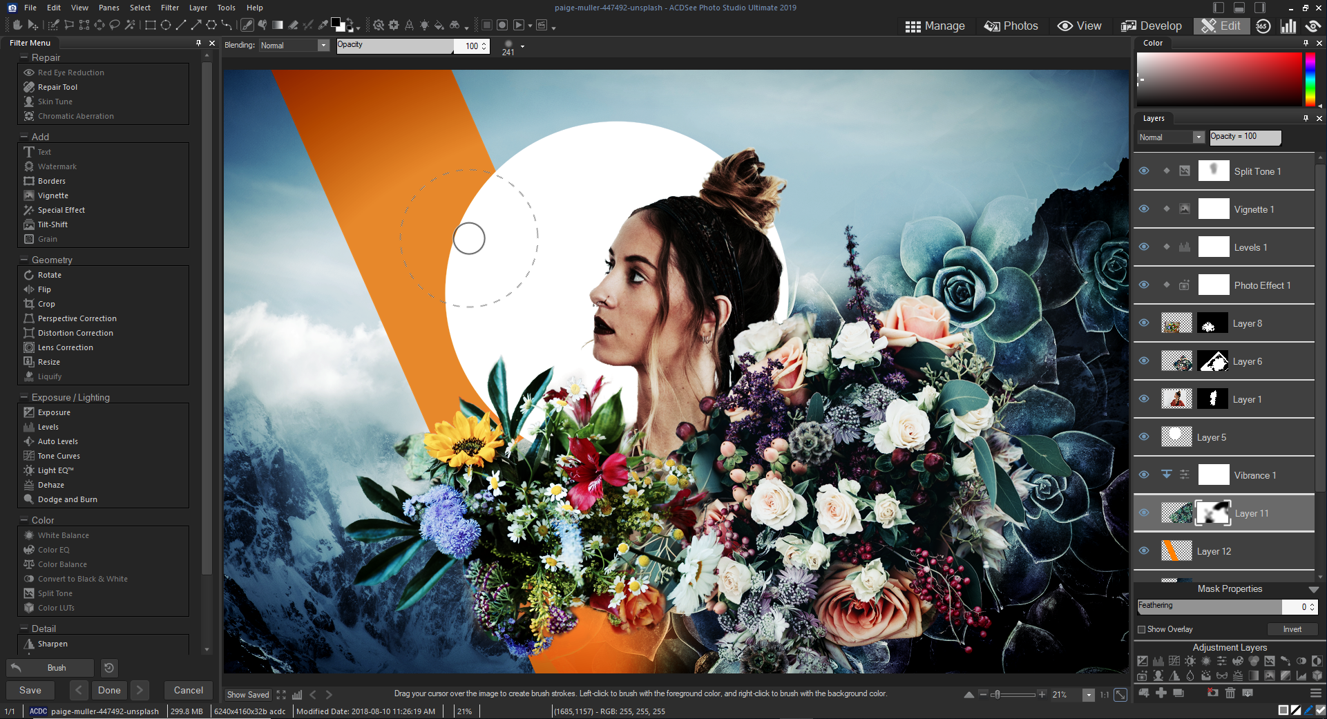 ACDSEE PHOTO STUDIO ULTIMATE 2019 ลงได้ 1 เครื่อง windows ของแท้