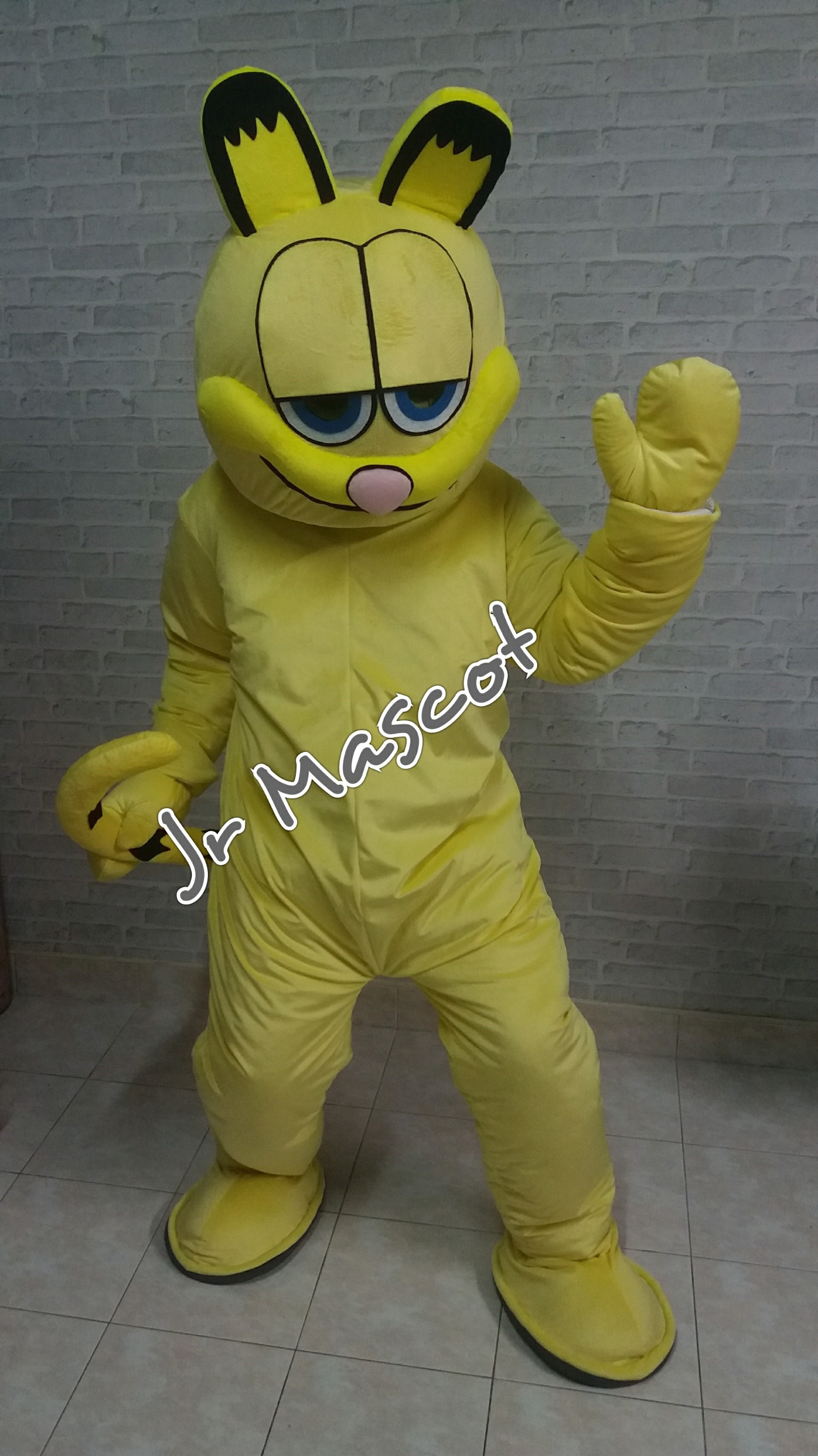 แมวเหลือง