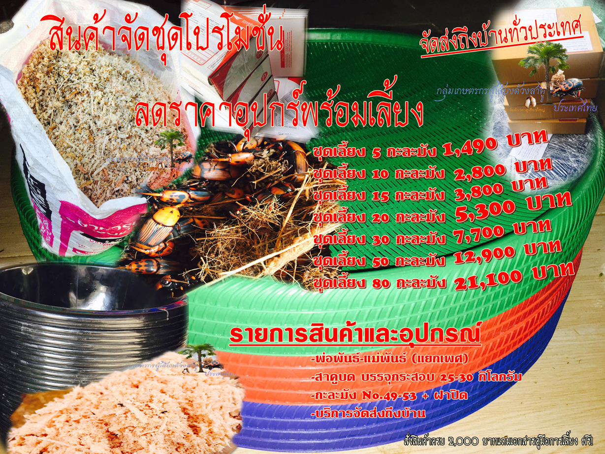 จัด Set สำหรับมือใหม่ ครบชุด พร้อมเลี้ยง 10 กะละมัง