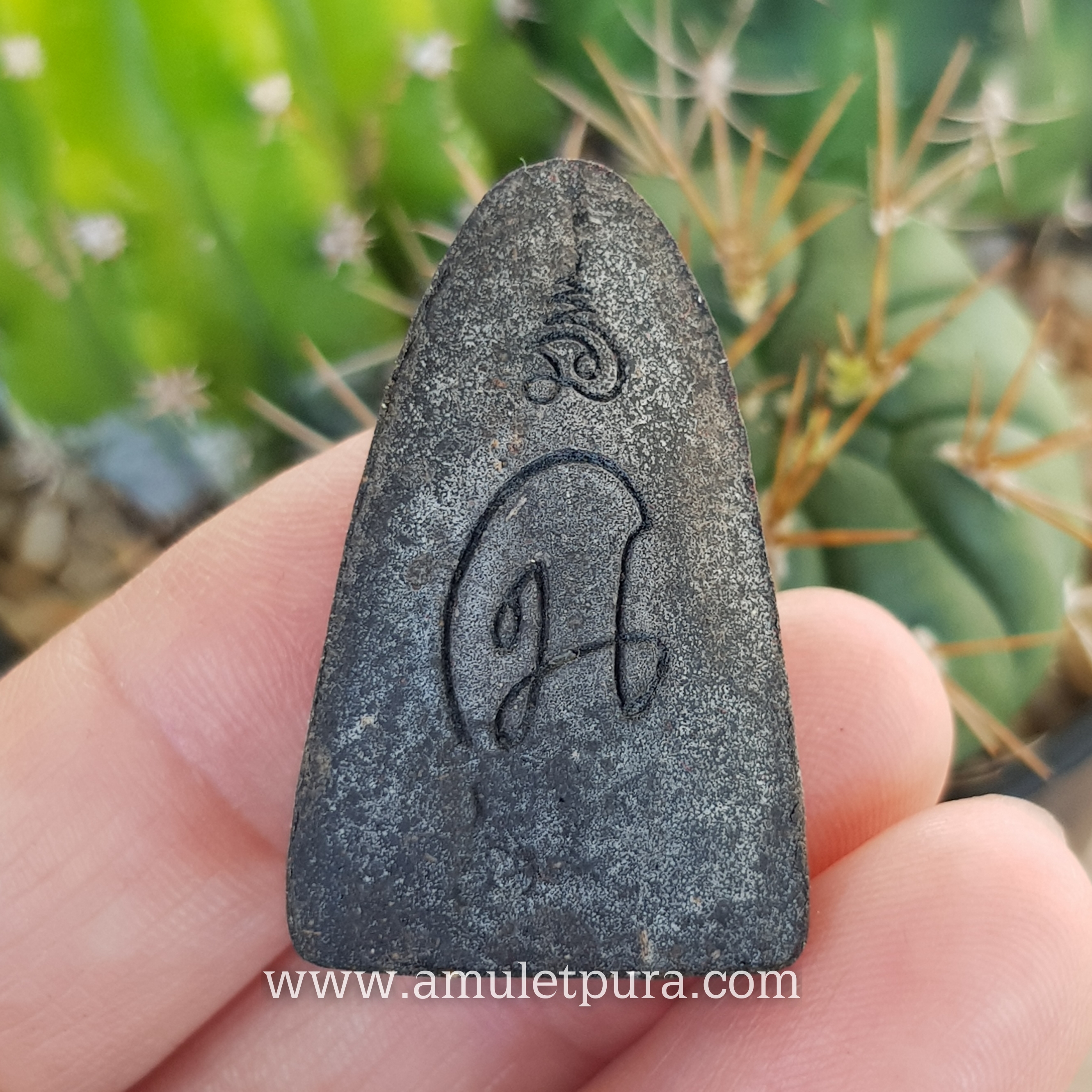 หลวงปู่ทวด หลังเตารีด พิมพ์50ปี วัดเมืองยะลา (ว่านผสมดินกากยายักษ์) รุ่นสันติสุข ปี52 พ่อท่านฉิน วัดเมืองยะลา จ.ยะลา (มีโค้ด)