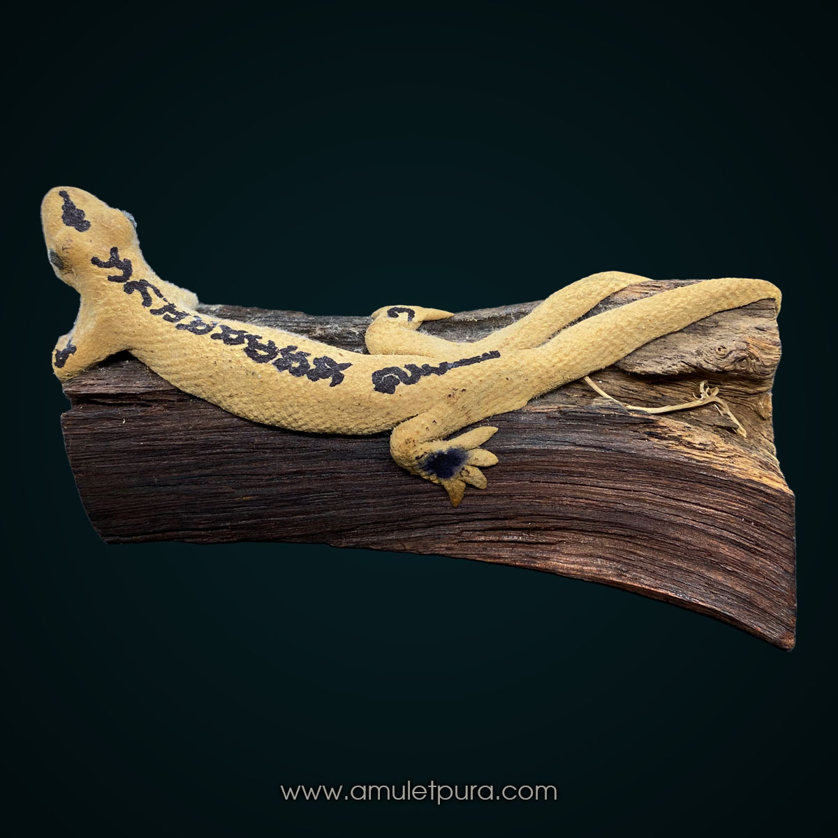 จิ้งจกพรหม 2 หางเกาะกิ่งไม้ ปี54 (ขนาดบูชา) อ.หนู กันภัย (แบบที่1)