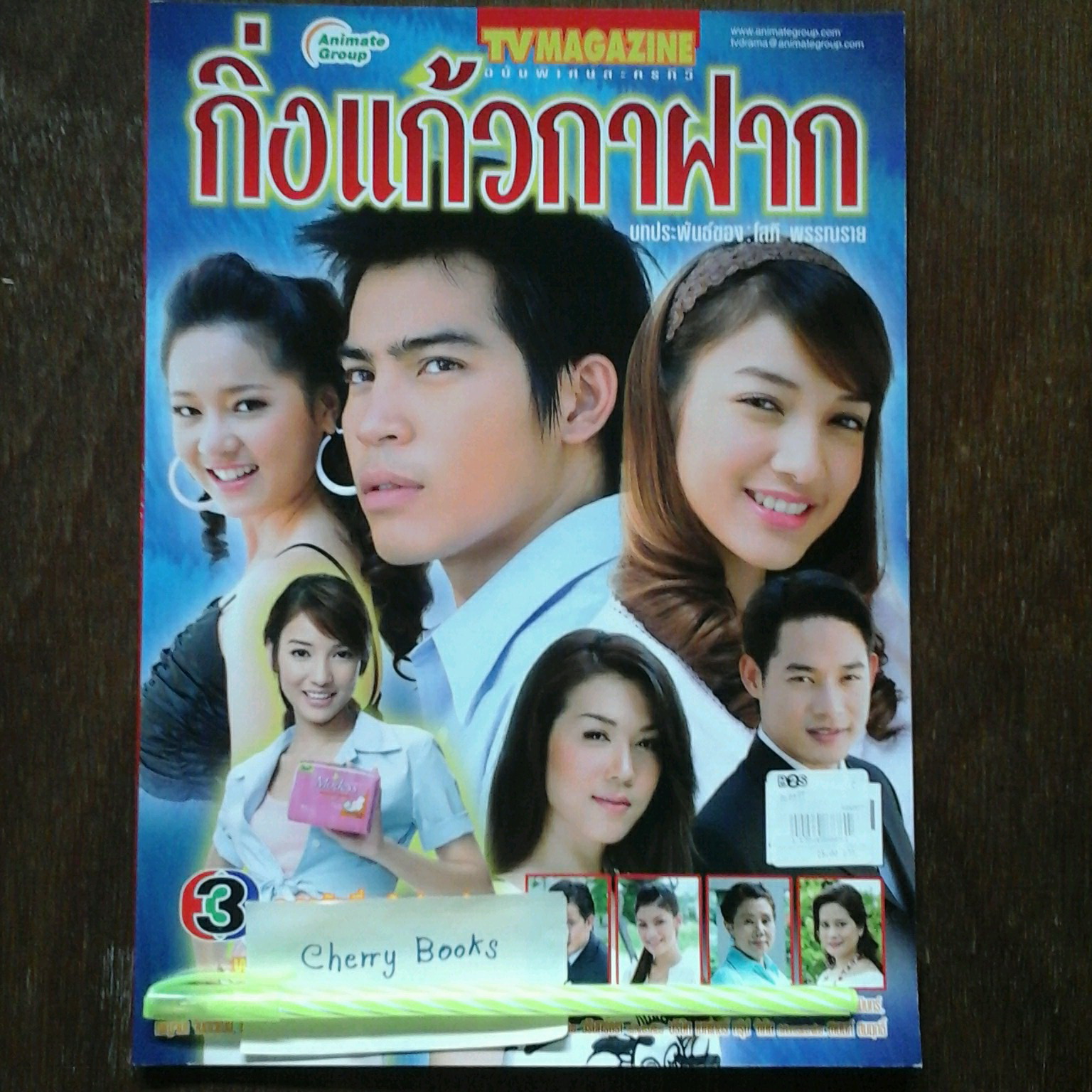 หนังสือเรื่องย่อละคร กิ่งแก้วกาฝาก