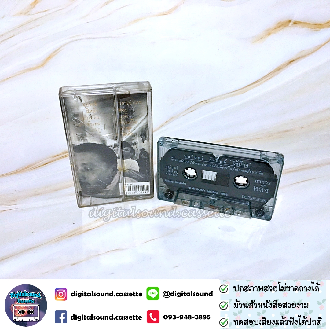 เทปคาสเซ็ท ป้าง นครินทร์ กิ่งศักดิ์ อัลบั้ม ไข้ป้าง