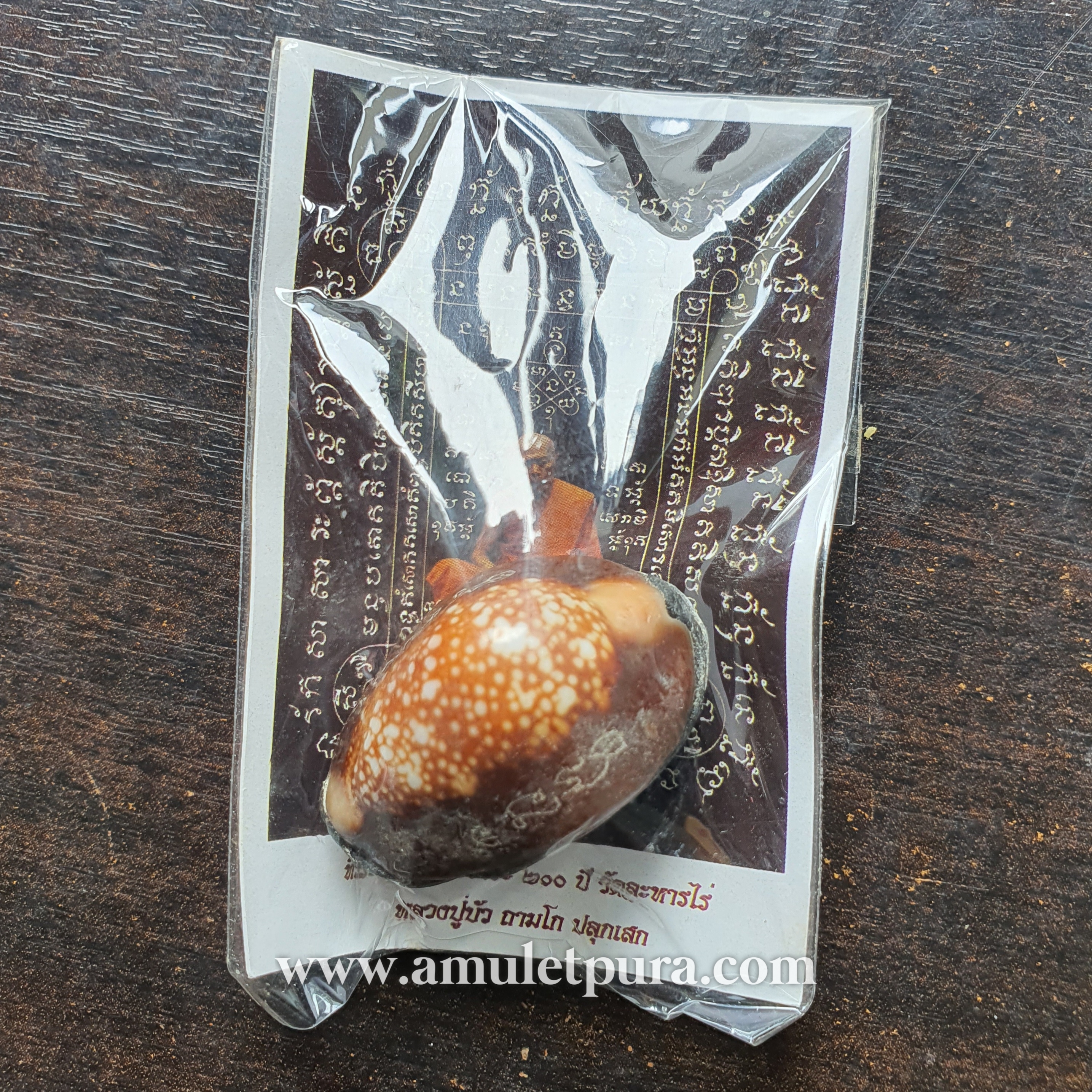 เบี้ยแก้พรายปรอท พิธี 9 ฤกษ์ 9 มงคล ครบ 200 ปี ปี54 วัดละหารไร่ จ.ระยอง จัดสร้างโดย มูลนิธิหลวงปู่ทิม (จารมืออุดผงพรายกุมารคลุกรักชันโรง หลวงปู่ทิม วัดละหารไร่ พร้อมแผ่นตะกั่ว จารมือ ตอกโค้ด หมายเลข 1177) หลวงปู่บัว,หลวงปู่คำบุ,หลวงพ่อสิน ปลุกเสก