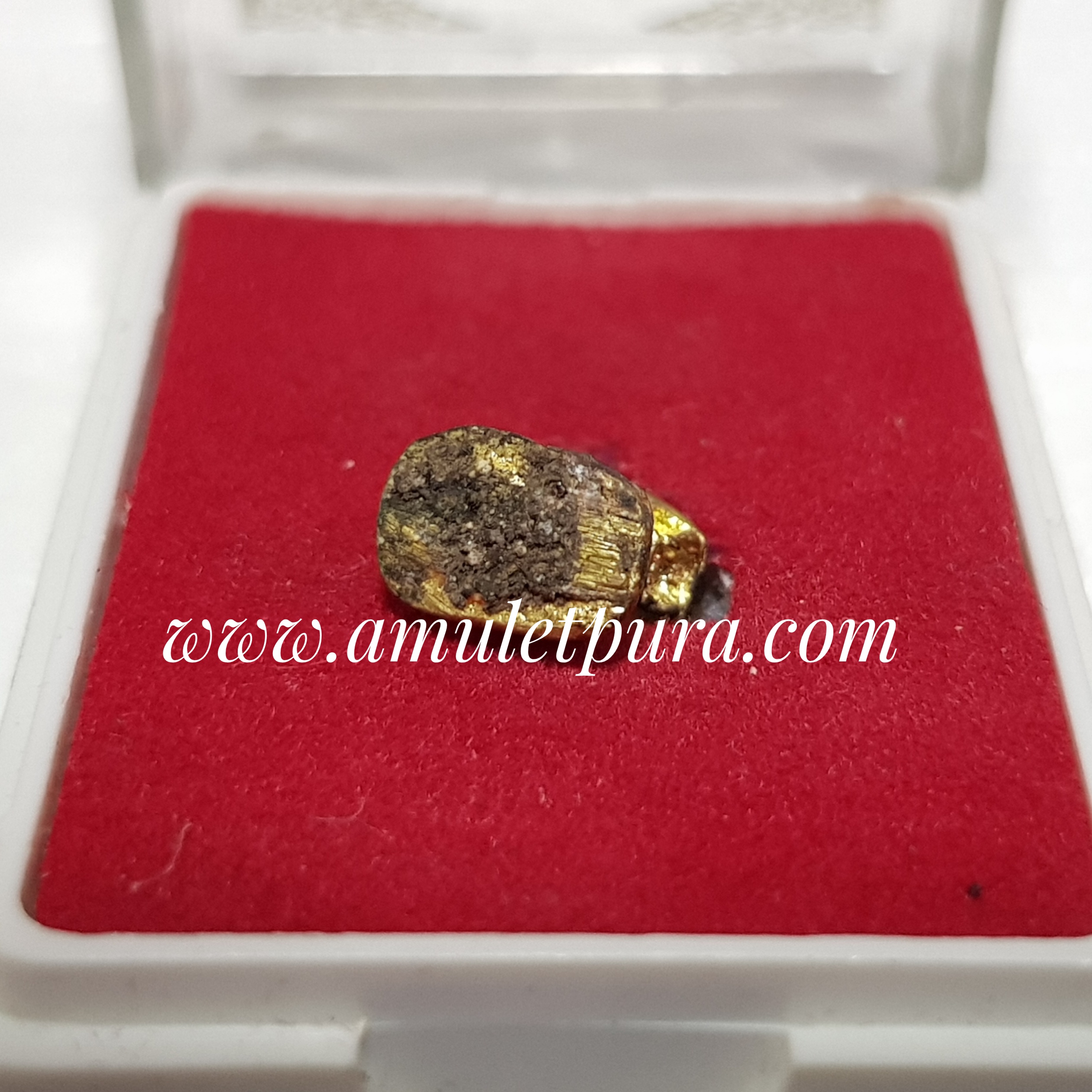 เสือจิ๋ว(ทองเหลืองชุบทอง)รุ่นอำนาจบารมี 8 ทิศ วัดสะพานหิน จ.ตราด(ใต้ฐานอุดมวลสาร)