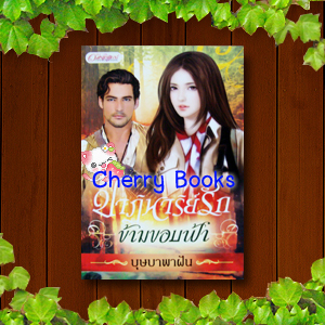 ปาฏิหาริย์รักข้ามขอบฟ้า (เล่มเดียวจบ) / บุษบาพาฝัน