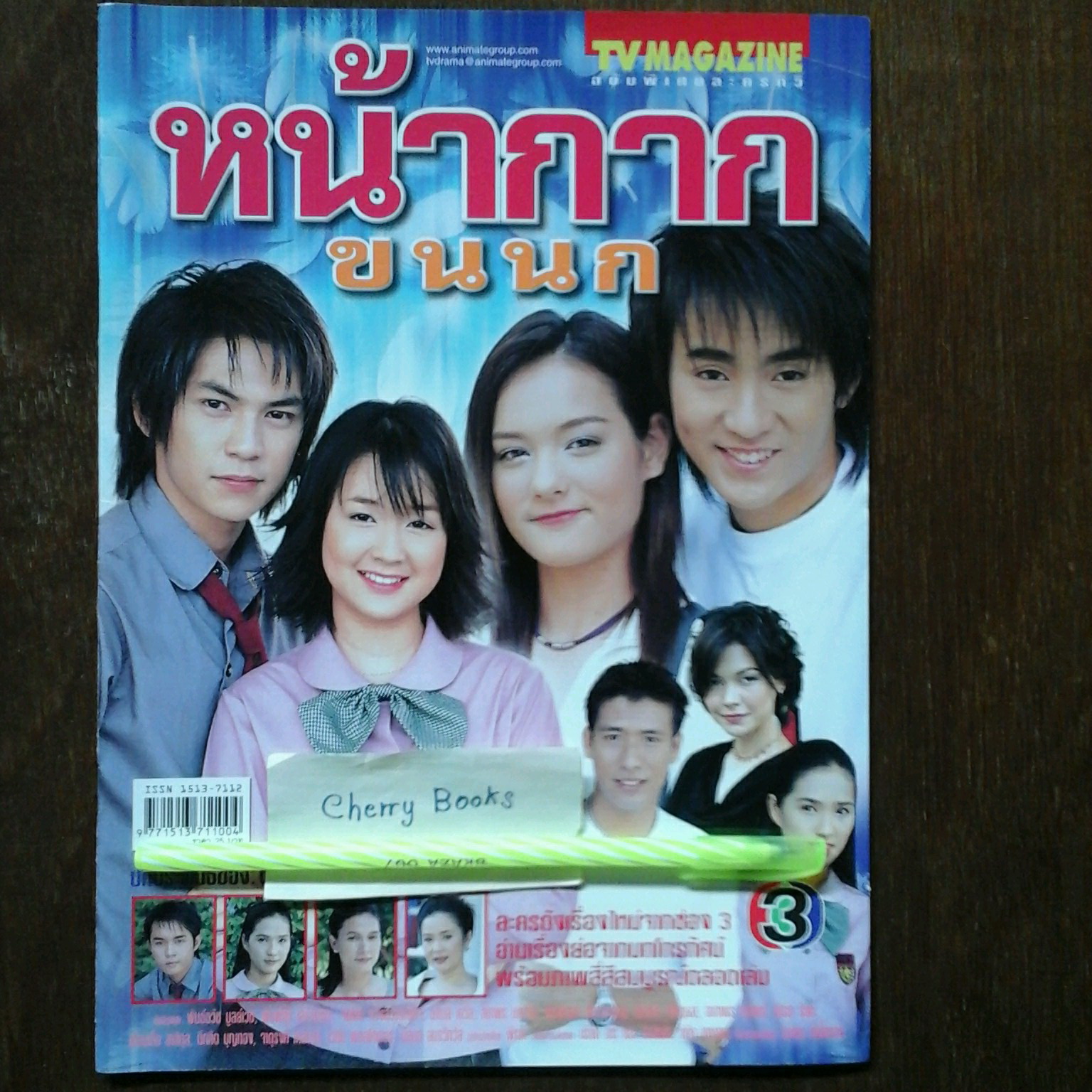 หนังสือเรื่องย่อละคร หน้ากากขนนก