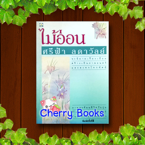 ไม้อ่อน (เล่มเดียวจบ) / สีฟ้า***หายากค่ะละครเก่าช่อง 3***