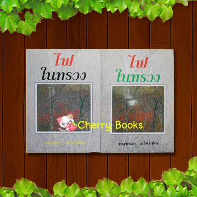 ไฟในทรวง (ปกแข็งชุด 2 เล่มจบ) / กฤษณา อโศกสิน