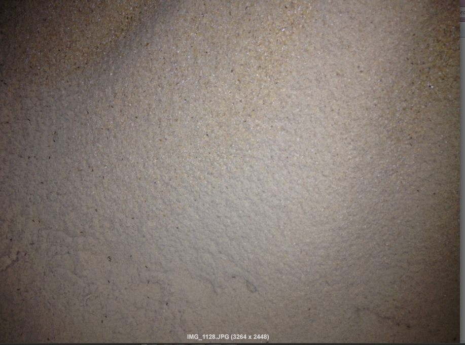 รำละเอียด(Rice bran)