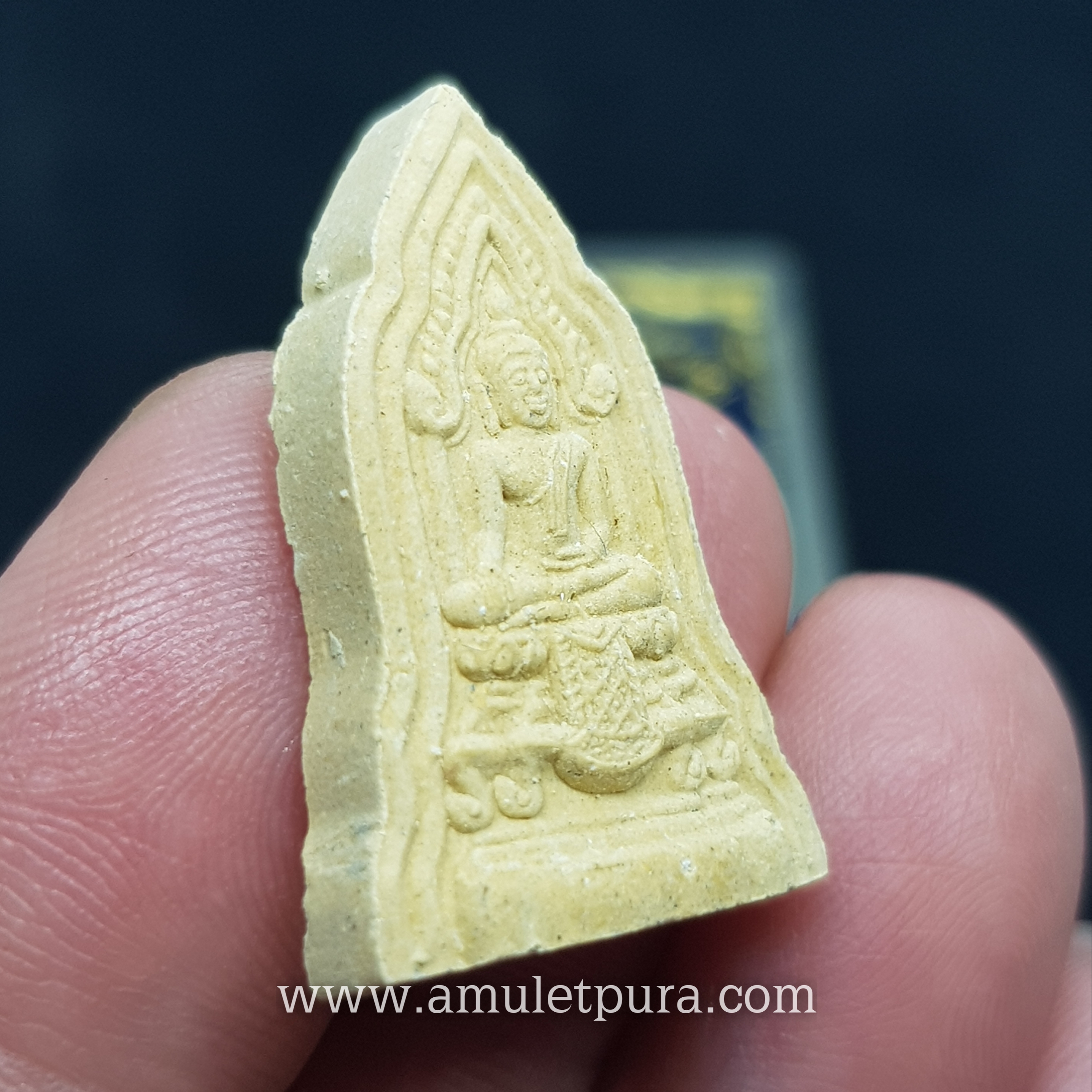 พระโคนสมอ รุ่นวัดศรีนวล200ปี ปี45 วัดศรีนวล จ.ขอนแก่น(หลวงพ่อคูณ ปลุกเสก)