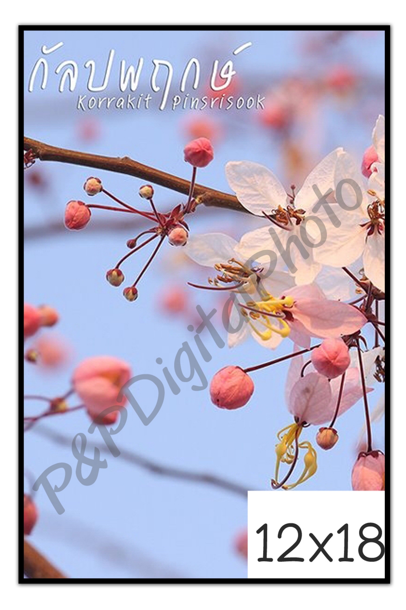 รูปภาพกรอบลอยราคาถูก ขนาด 12x18