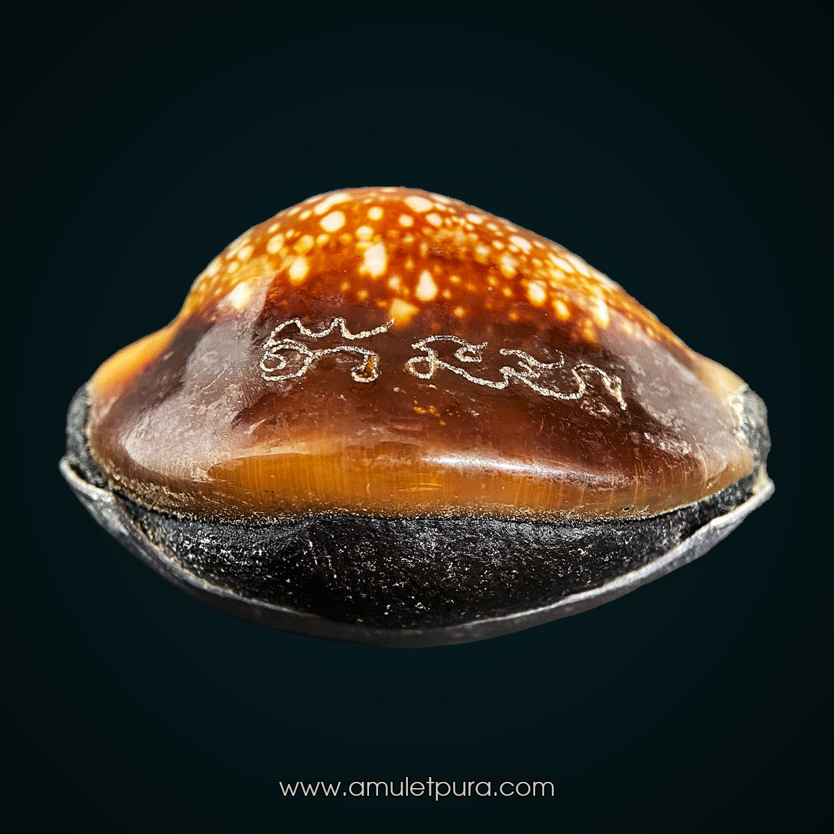 เบี้ยแก้พรายปรอท พิธี 9 ฤกษ์ 9 มงคล ครบ 200 ปี ปี54 วัดละหารไร่ จ.ระยอง จัดสร้างโดย มูลนิธิหลวงปู่ทิม (จารมืออุดผงพรายกุมาร คลุกรักชันโรงหลวงปู่ทิม วัดละหารไร่ พร้อมแผ่นตะกั่วจารมือ ตอกโค้ด หมายเลข 1177) หลวงปู่บัว,หลวงปู่คำบุ,หลวงพ่อสิน ปลุกเสก