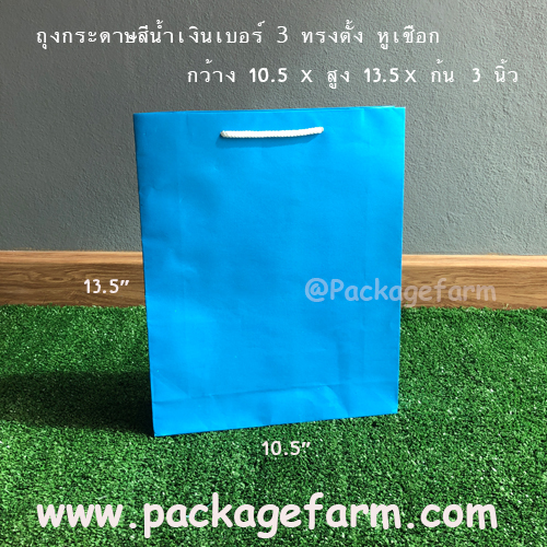 ถุงกระดาษสีเบอร์ 3 ทรงตั้ง ขนาด 10"1/2 x 13"1/2 x 3"