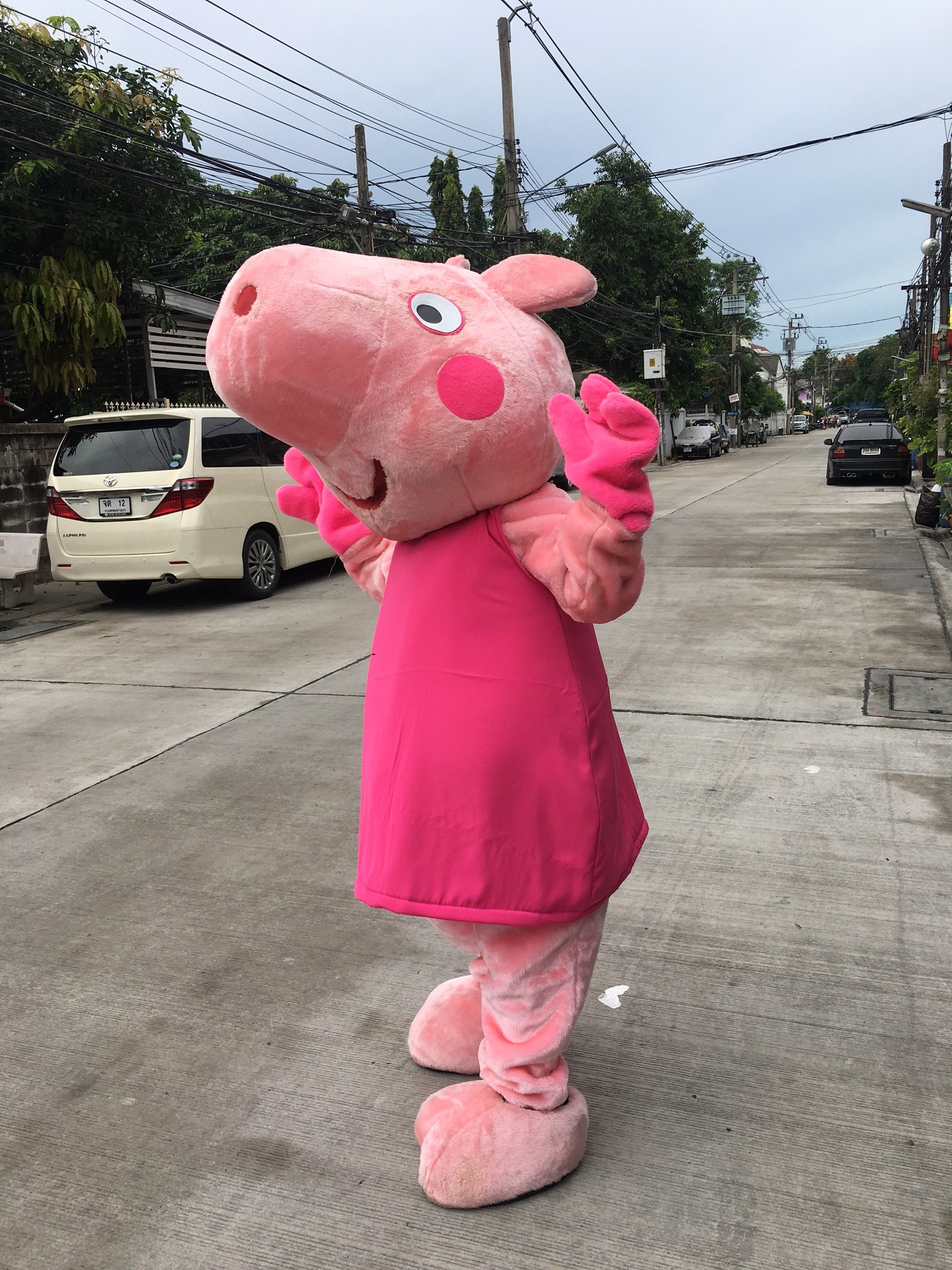 มาสคอตหมูชมพู