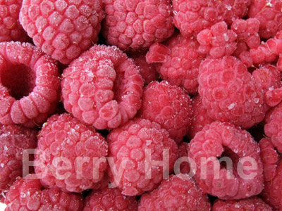 ราสเบอร์รี่แช่แข็ง / Raspberry (1 กก.)