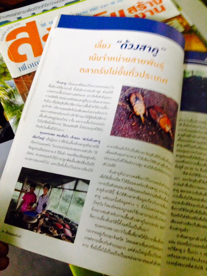 ฟาร์มด้วงสาคูเชียรใหญ่