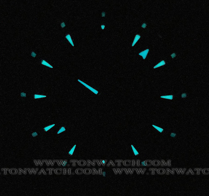 OMEGA WORLDTIMER VSF