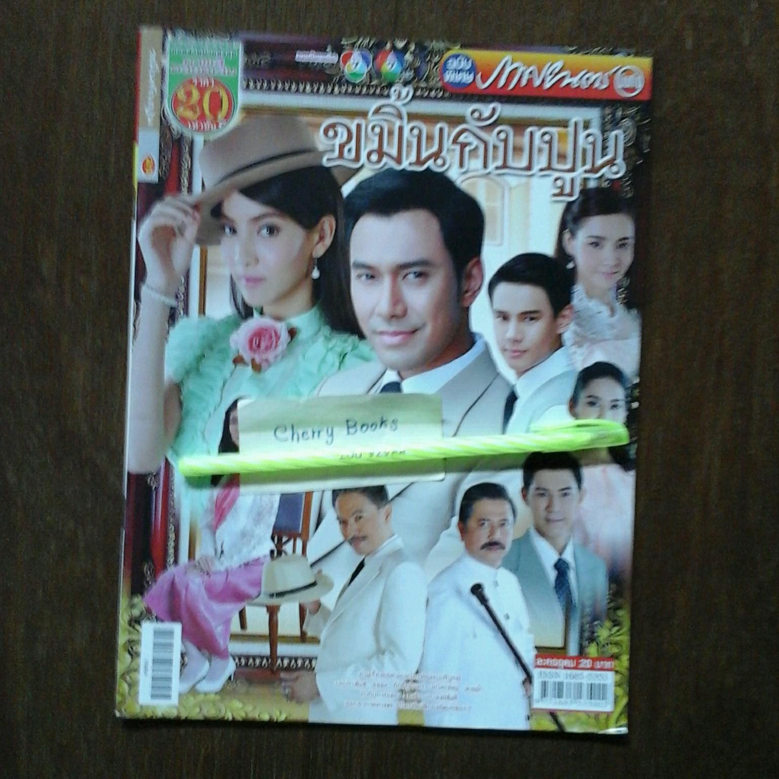 หนังสือเรื่องย่อละคร ขมิ้นกับปูน