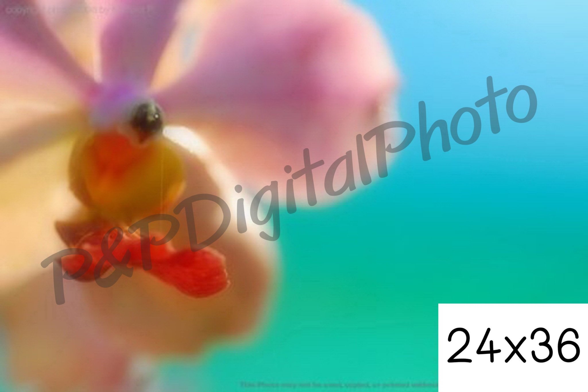 อัดรูปออนไลน์ ล้างรูปราคาถูก ขนาดอัดรูป 24x36