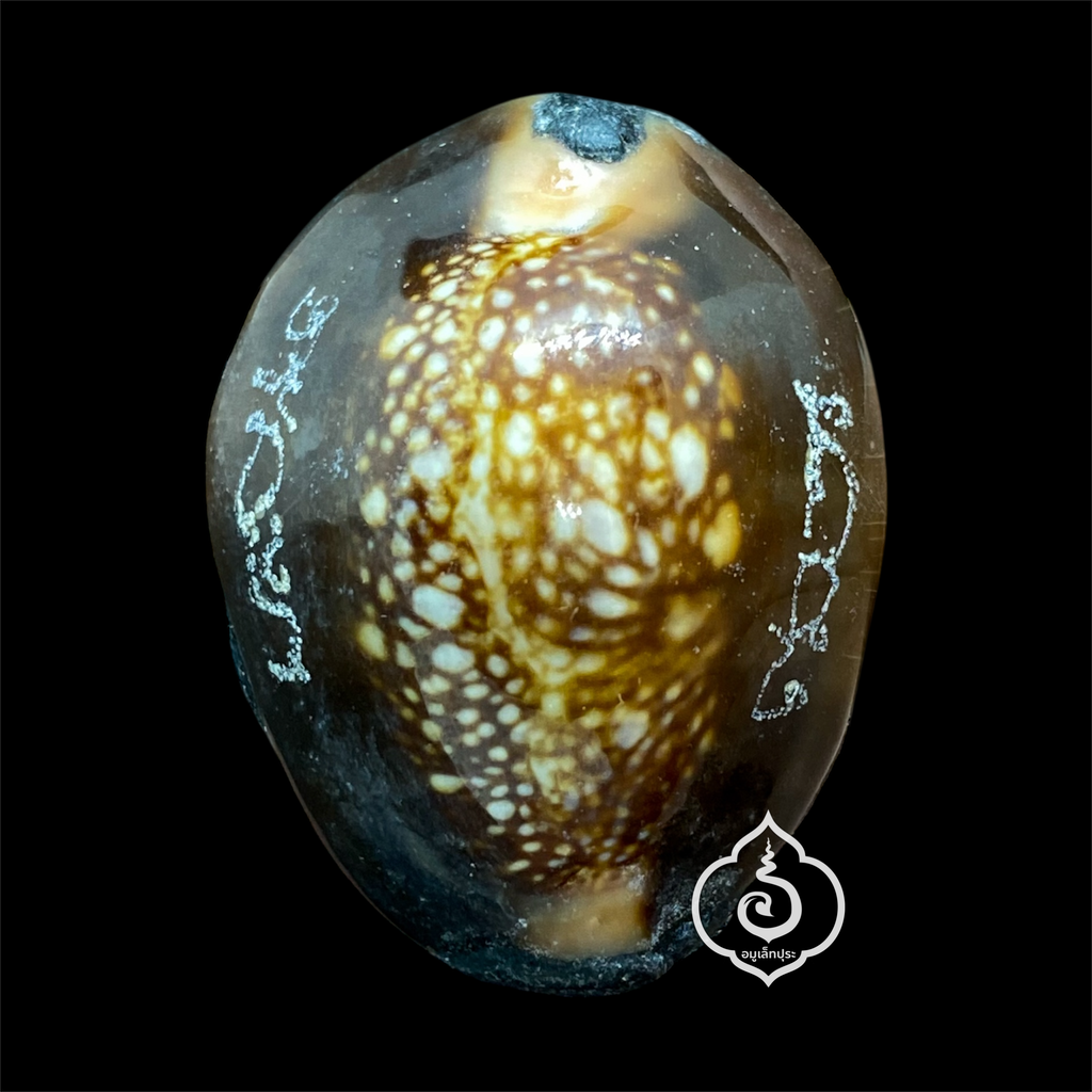 เบี้ยแก้พรายปรอท พิธี 9 ฤกษ์ 9 มงคล ครบ 200 ปี ปี54 วัดละหารไร่ จ.ระยอง จัดสร้างโดย มูลนิธิหลวงปู่ทิม (อุดผงพรายกุมารคลุกรักชันโรง หลวงปู่ทิม วัดละหารไร่ พร้อมแผ่นตะกั่ว จารมือ ตอกโค้ด หมายเลข 440) หลวงปู่บัว,หลวงปู่คำบุ,หลวงพ่อสิน ปลุกเสก