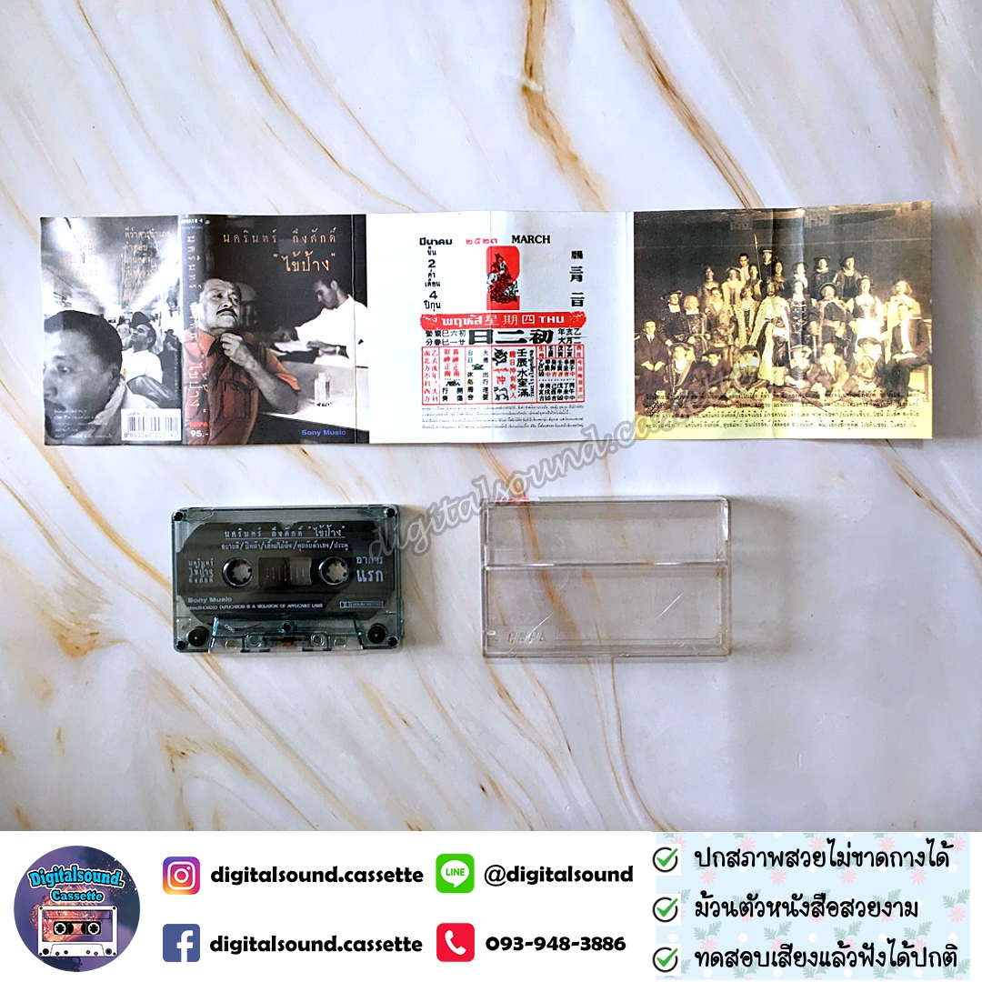 เทปคาสเซ็ท ป้าง นครินทร์ กิ่งศักดิ์ อัลบั้ม ไข้ป้าง