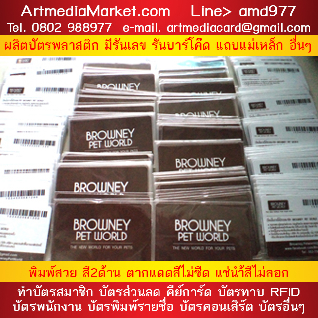 ตัวอย่างบัตร Pvc Card Plastic Card
