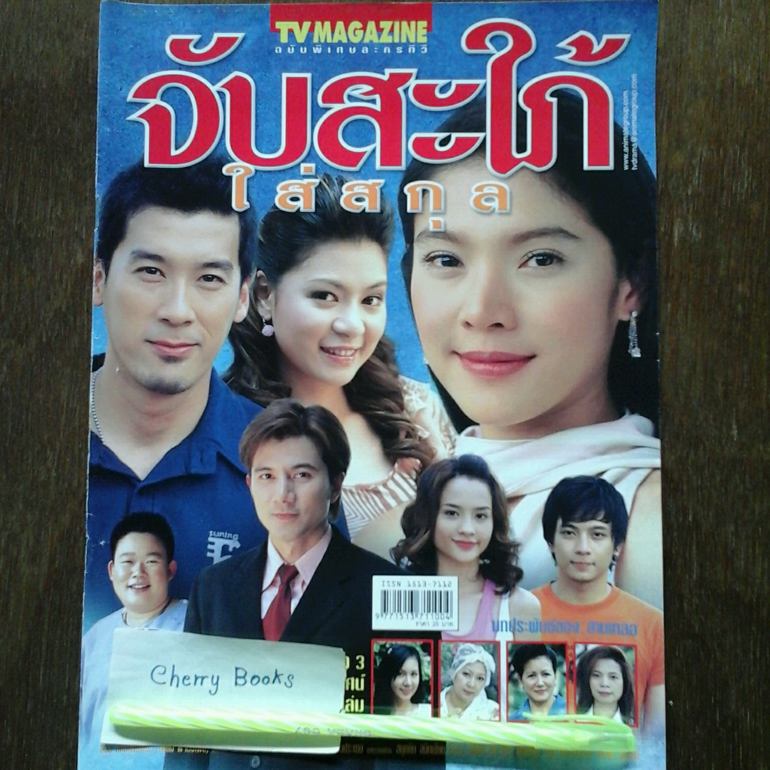 หนังสือเรื่องย่อละคร จับสะใภ้ใส่สกุล