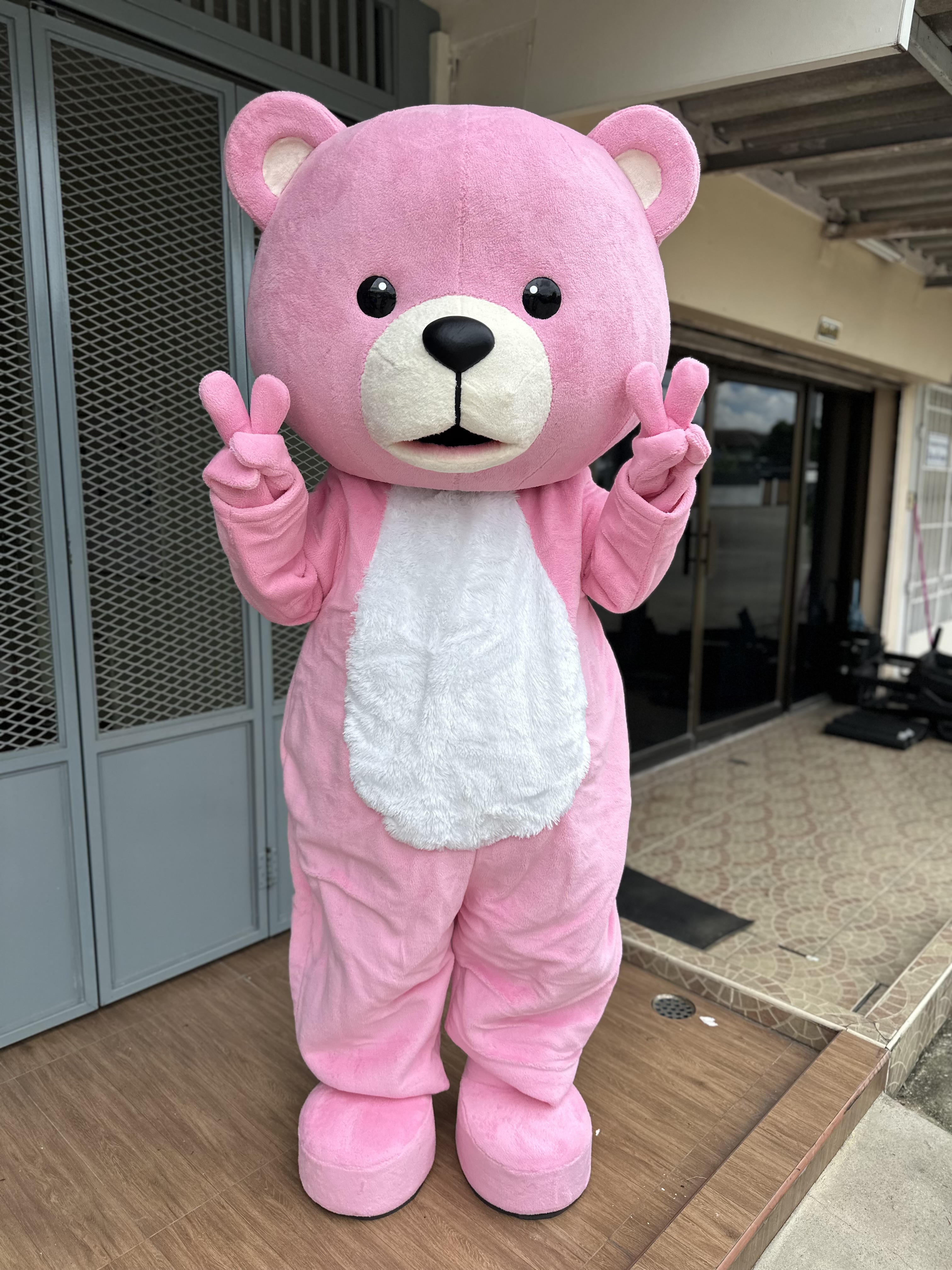 หมีสีชมพู