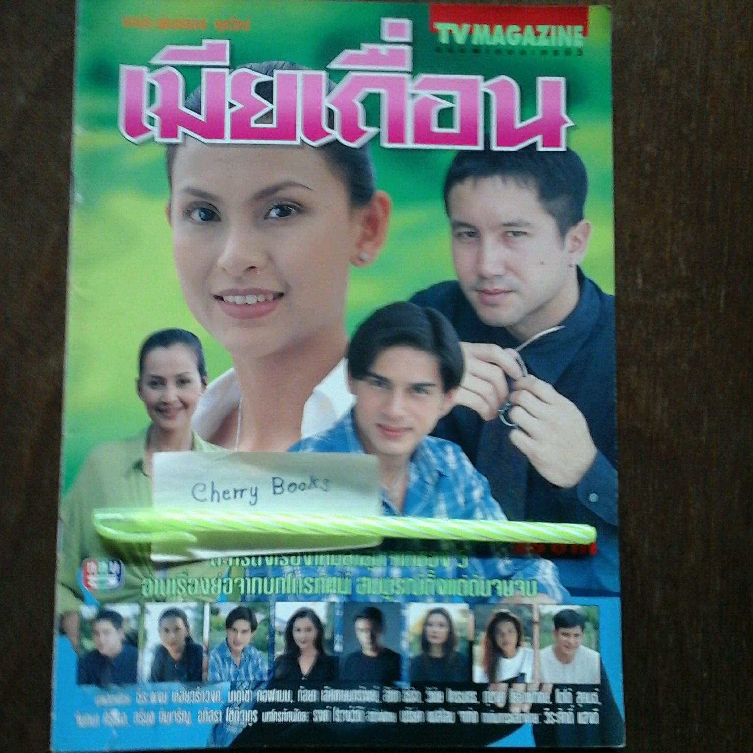 หนังสือเรื่องย่อละคร เมียเถื่อน