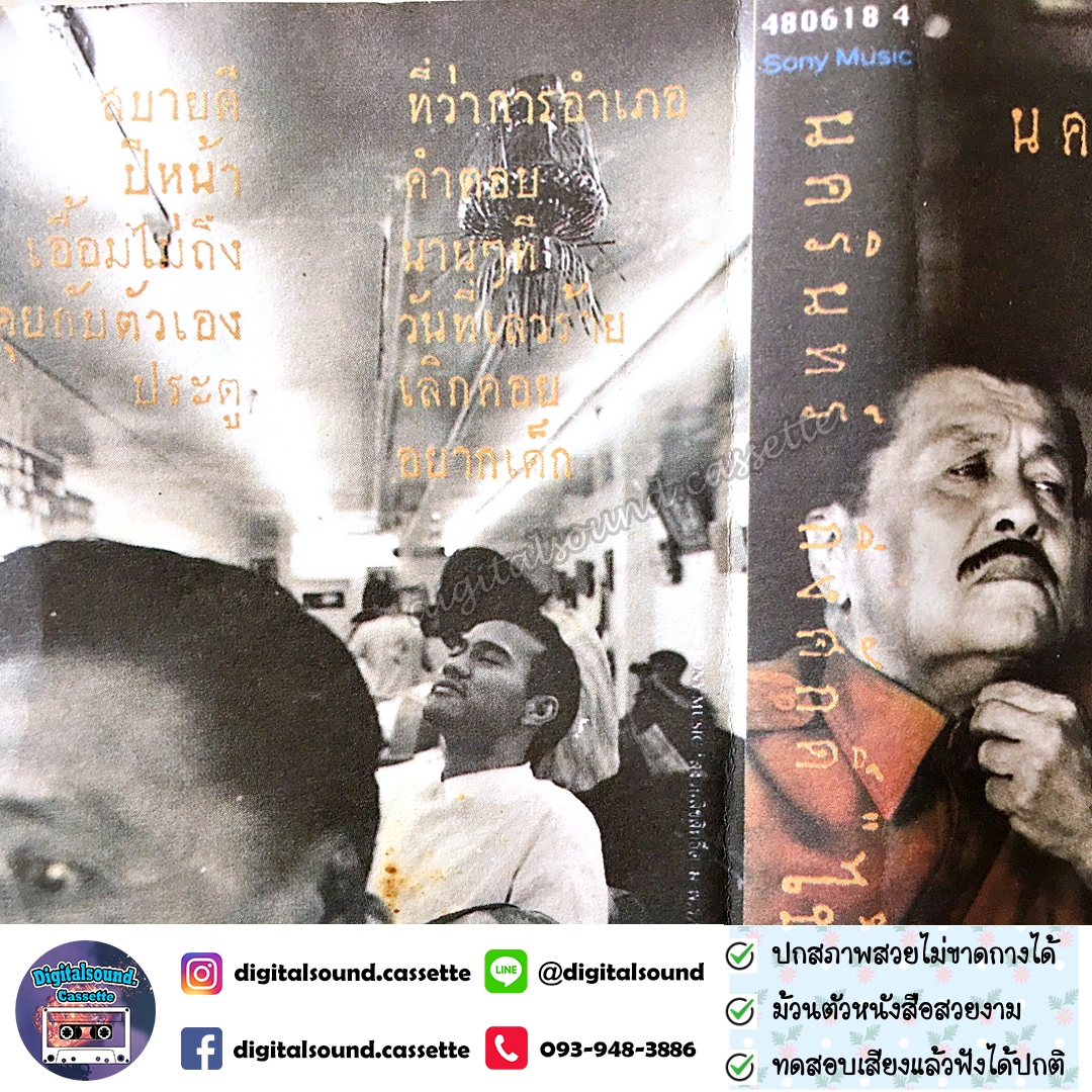เทปคาสเซ็ท ป้าง นครินทร์ กิ่งศักดิ์ อัลบั้ม ไข้ป้าง
