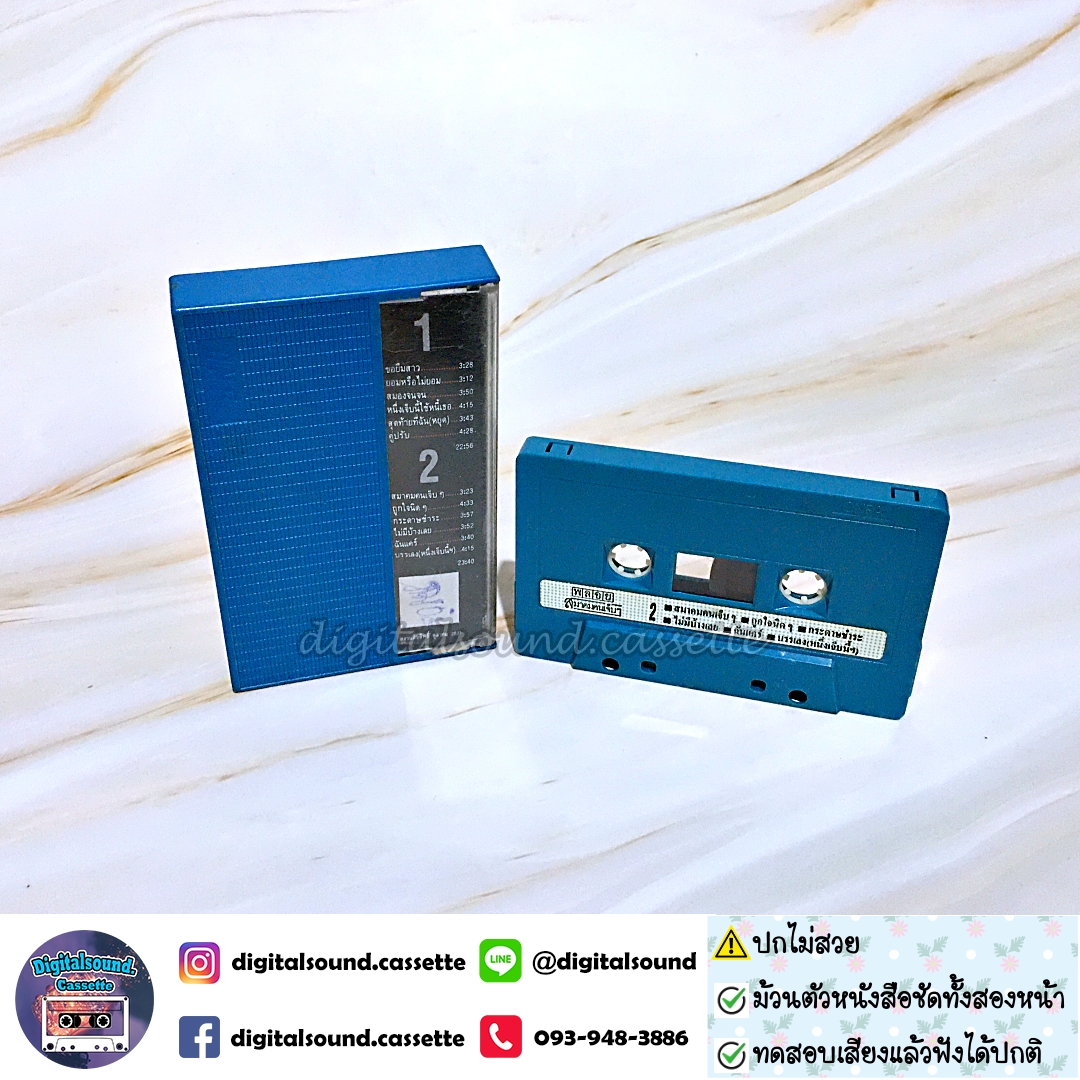 เทปคาสเซ็ท วงพลอย อัลบั้ม ชุดที่ 2 สมาคมคนเจ็บๆ