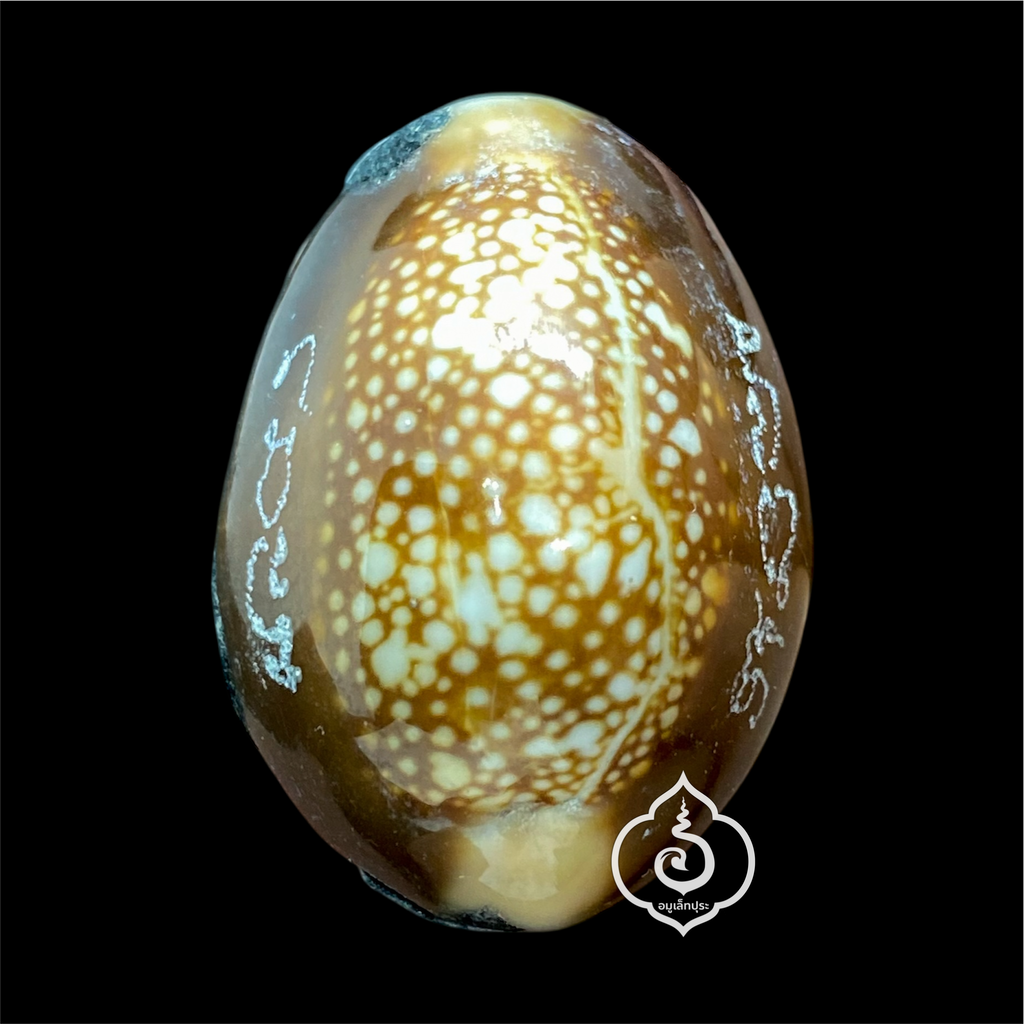 เบี้ยแก้พรายปรอท พิธี 9 ฤกษ์ 9 มงคล ครบ 200 ปี ปี54 วัดละหารไร่ จ.ระยอง จัดสร้างโดย มูลนิธิหลวงปู่ทิม (อุดผงพรายกุมารคลุกรักชันโรง หลวงปู่ทิม วัดละหารไร่ พร้อมแผ่นตะกั่ว จารมือ ตอกโค้ด หมายเลข 582) หลวงปู่บัว,หลวงปู่คำบุ,หลวงพ่อสิน ปลุกเสก