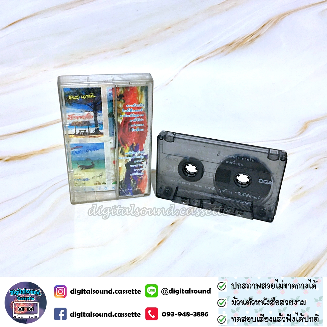 เทปคาสเซ็ท หยาด นภาลัย อัลบั้ม ชุดที่ 18 คืนนี้พี่คอยเจ้า