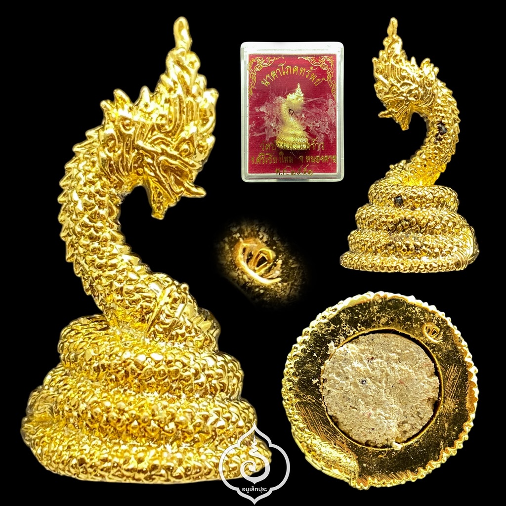พญานาค รุ่นนาคาโภคทรัพย์ (เนื้อโลหะชุบทอง) ปี51 วัดบ้านพานพร้าว จ.หนองคาย (ตอกโค้ดใต้ฐาน)