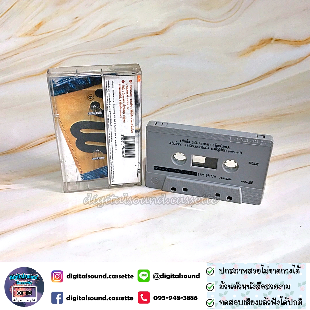 เทปเพลง เทปคาสเซ็ท หนุ่ย นันทกานต์ ฤทธิวงศ์ อัลบั้ม Wonderful Life